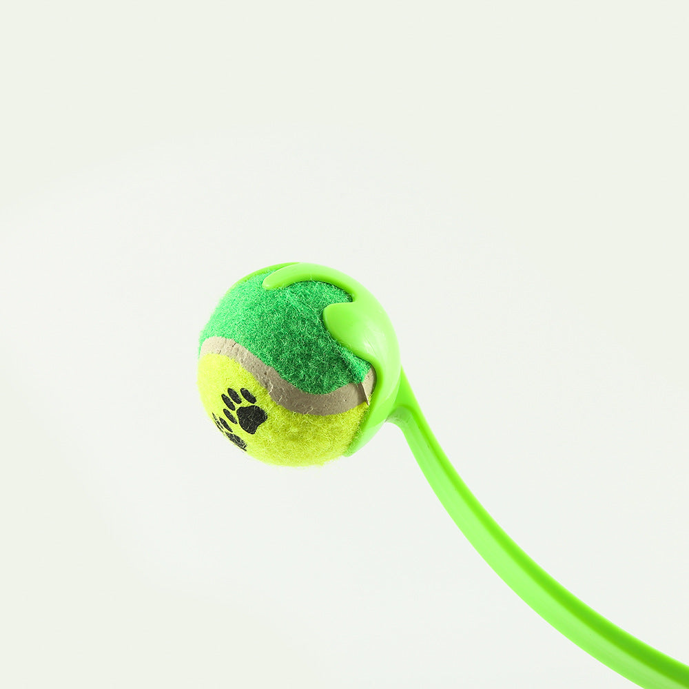 Dog fetch toy bouncing in outdoor play