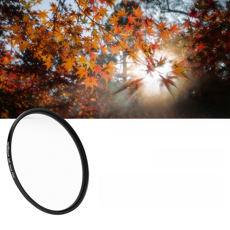 Universal filter adapter ring filter