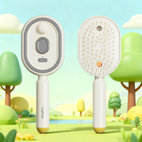 Spray airbag massage comb