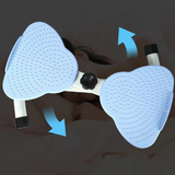 Household waist-twisting disc