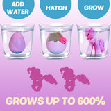 Unicorn Hatching Egg Expansion Toy for Kids