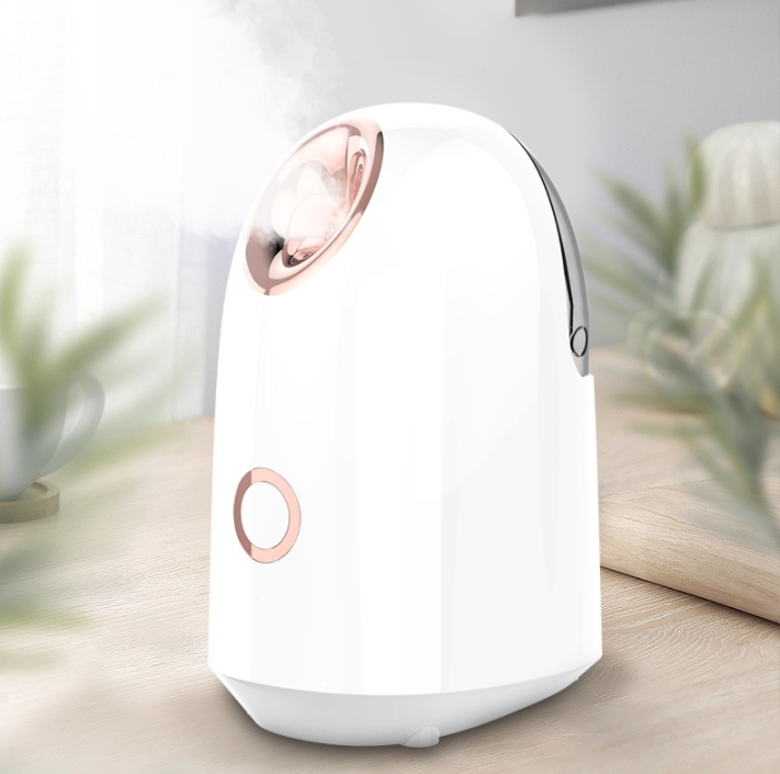 Facial Steamer Device - Image 1
