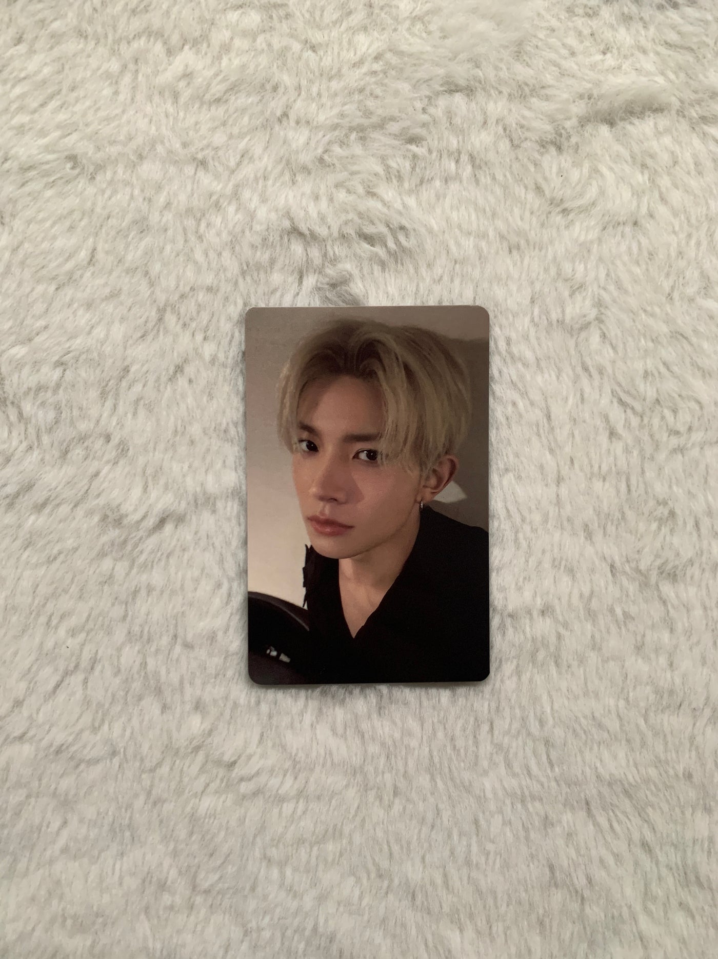 Enhypen Member Photo Cards Collection