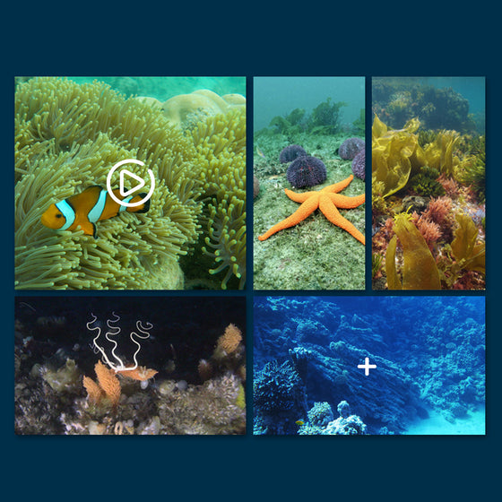 Mini WIFI Remote Control Underwater Camera Boat product image 4