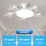 Five Head Ceiling Fan Light with Remote Control