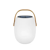 Solar Outdoor Garden Light Atmosphere Lamp