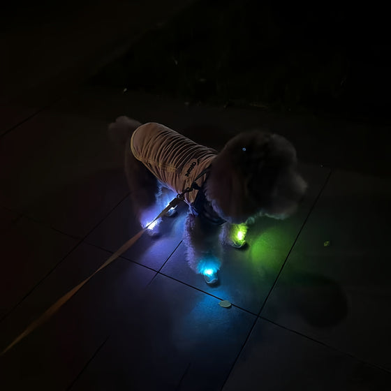 Light-up dog shoes, photo 5