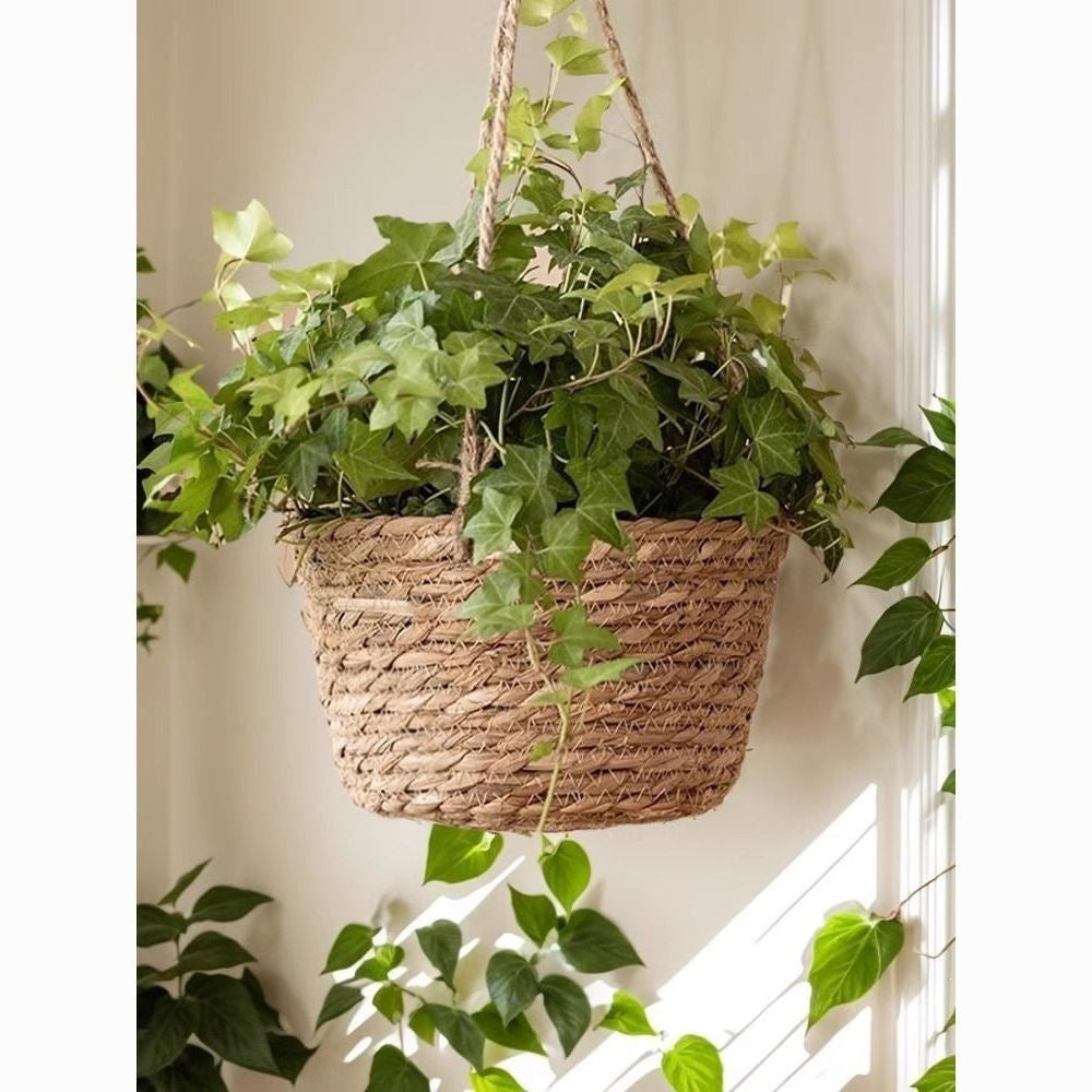 Hand-woven natural vine hanging planter basket with green plants, photo 4