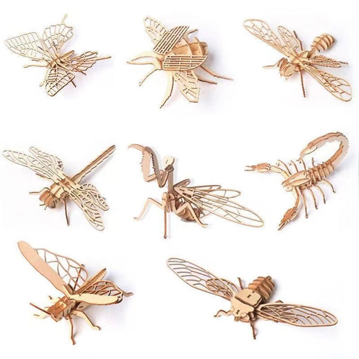 Wooden Insect 3D Puzzle Toy product image 6