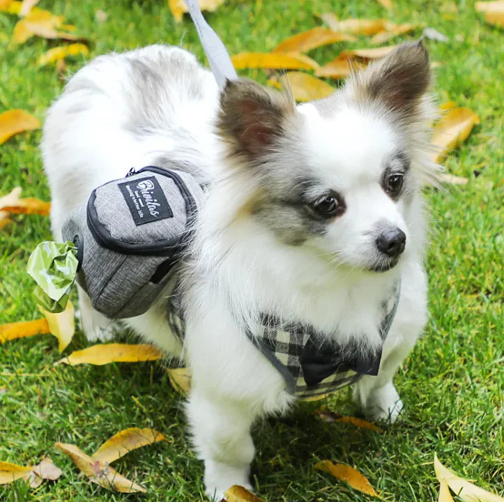 Detail of the adjustable shoulder strap and buckle