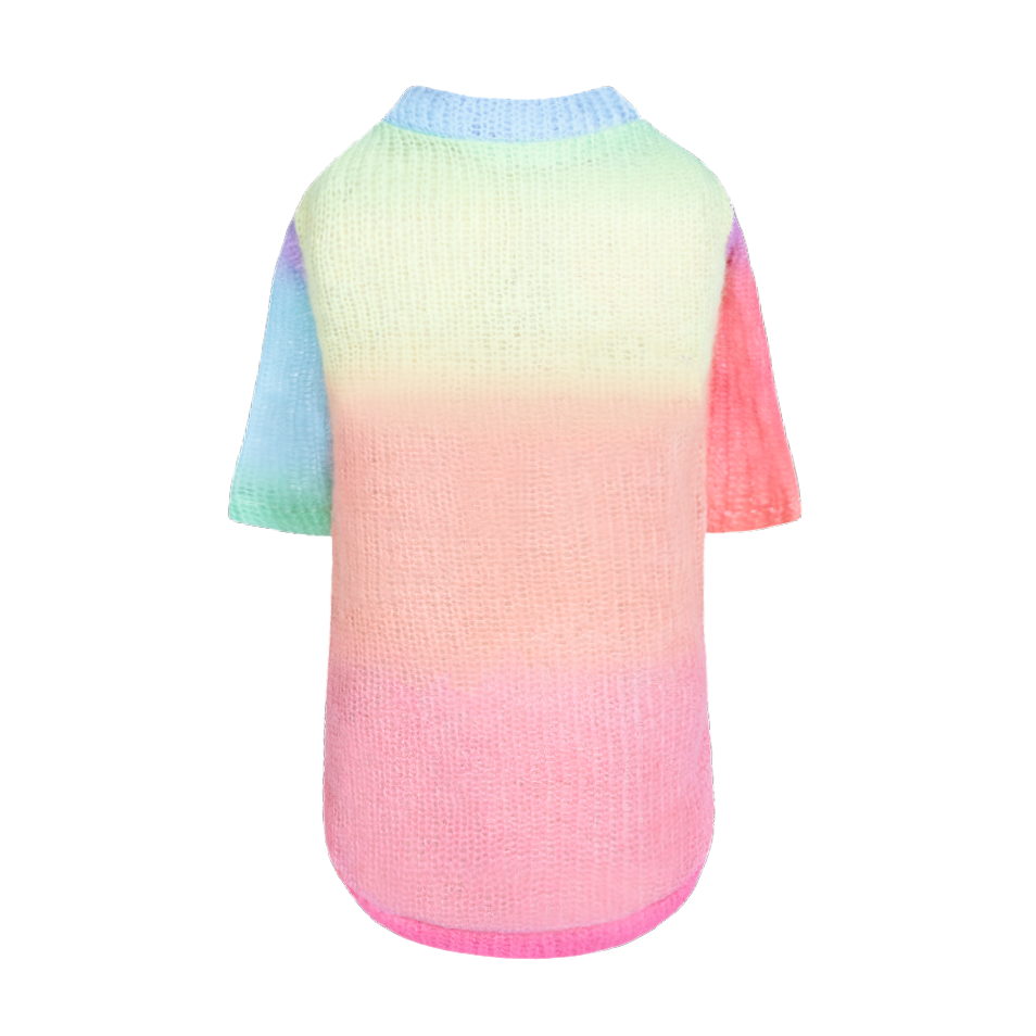 Hello Doggie Rainbow Dog Tee