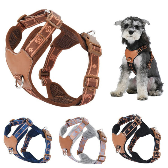 Dog leash for everyday walks