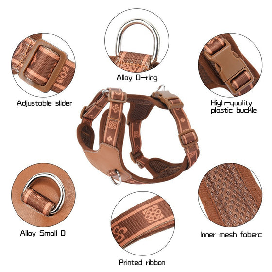 Dog leash for everyday walks, photo 3